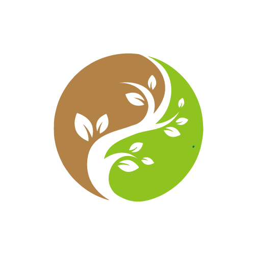 中藥