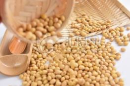 首批俄羅斯大豆進入中國