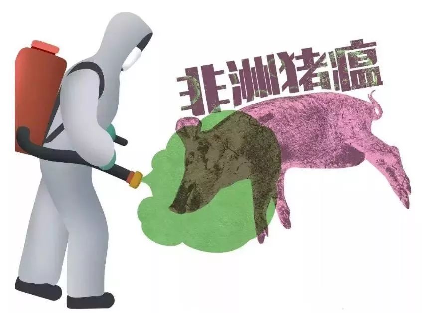 嚴格執行“十不得” 確保非洲豬瘟疫情不反彈