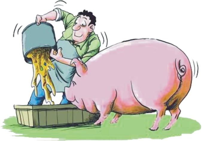 農業(yè)農村部辦公廳關于印發(fā)《2021年飼料質量安全監(jiān)管工作方案》的通知