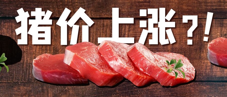CFT第20周周評：豬價震蕩偏強，價格重心繼續上移預判不改!