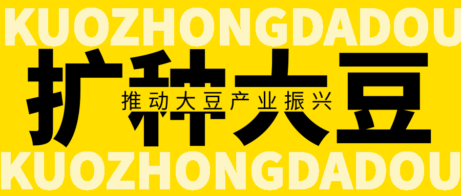 擴種大豆正當時