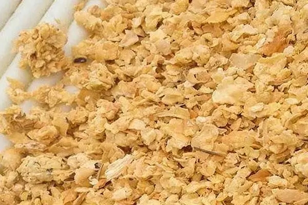 豆粕和菜粕再度重挫